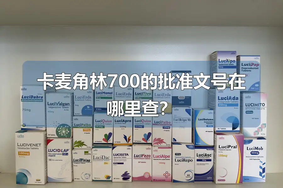 卡麦角林700的批准文号在哪里查？