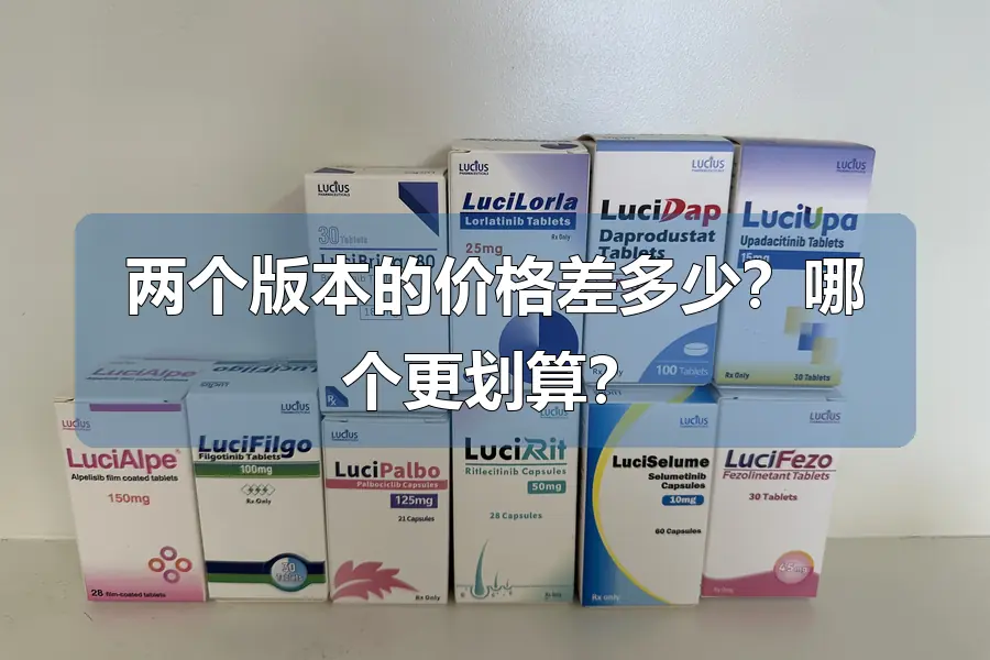 两个版本的价格差多少？哪个更划算？